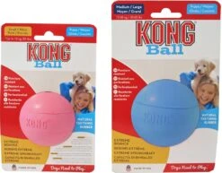 Kong Puppy Bal Met Gat Assorti -Goedkope Dierenwereld XL winkel 0035585356037 22 a