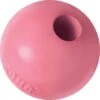 Kong Puppy Bal Met Gat Assorti