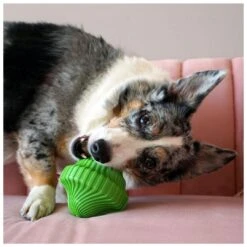 Kong Squeezz Orbitz Spin Top Assorti M/L -Goedkope Dierenwereld XL winkel 0201904 3