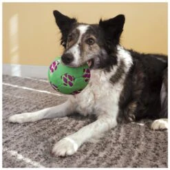 Kong Sneakerz Sport Soccer Ball M 5 Kong Sneakerz Sport Soccer Ball M -Goedkope Dierenwereld XL winkel 0201905 2