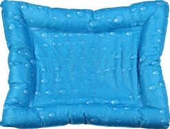 Kowloon Cool Kussen Blauw Bubble 9 Kowloon Cool Kussen Blauw Bubble -Goedkope Dierenwereld XL winkel 0202426 los