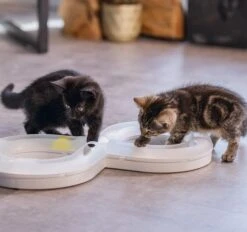 Beeztees Kittenspeelgoed Speelrail Agty 5 Beeztees Kittenspeelgoed Speelrail Agty -Goedkope Dierenwereld XL winkel 0440418 sfeer1