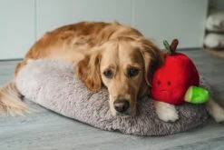 Beeztees Hondenspeelgoed Hide And Seek Appel -Goedkope Dierenwereld XL winkel 0619440 sfeer1