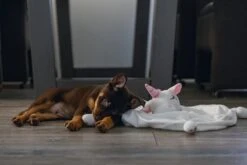 Beeztees Puppy Knuffeldoek Unicorn M -Goedkope Dierenwereld XL winkel 0619491 sfeer1