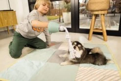 Beeztees Puppy Flostouw Pullina Groen -Goedkope Dierenwereld XL winkel 0641270 sfeer2