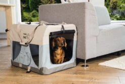 Beeztees Nylon Bench Travel Time Lichtblauw -Goedkope Dierenwereld XL winkel 0715160 sfeer1