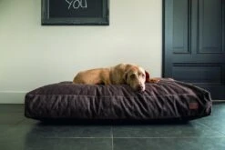 Designed By Lotte Hondenkussen Unnay Bruin -Goedkope Dierenwereld XL winkel 0716074 sfeer2