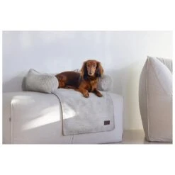 Designed By Lotte Bankkussen Ribbed Lichtgrijs 7 Designed By Lotte Bankkussen Ribbed Lichtgrijs -Goedkope Dierenwereld XL winkel 0716272 3