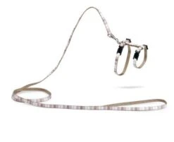 Beeztees Kittentuig Joy -Goedkope Dierenwereld XL winkel 0730405