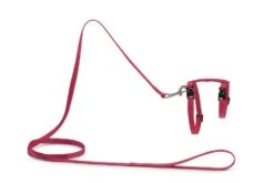 Beeztees Kattentuig Uni Met Lijn 16 Beeztees Kattentuig Uni Met Lijn -Goedkope Dierenwereld XL winkel 0730480