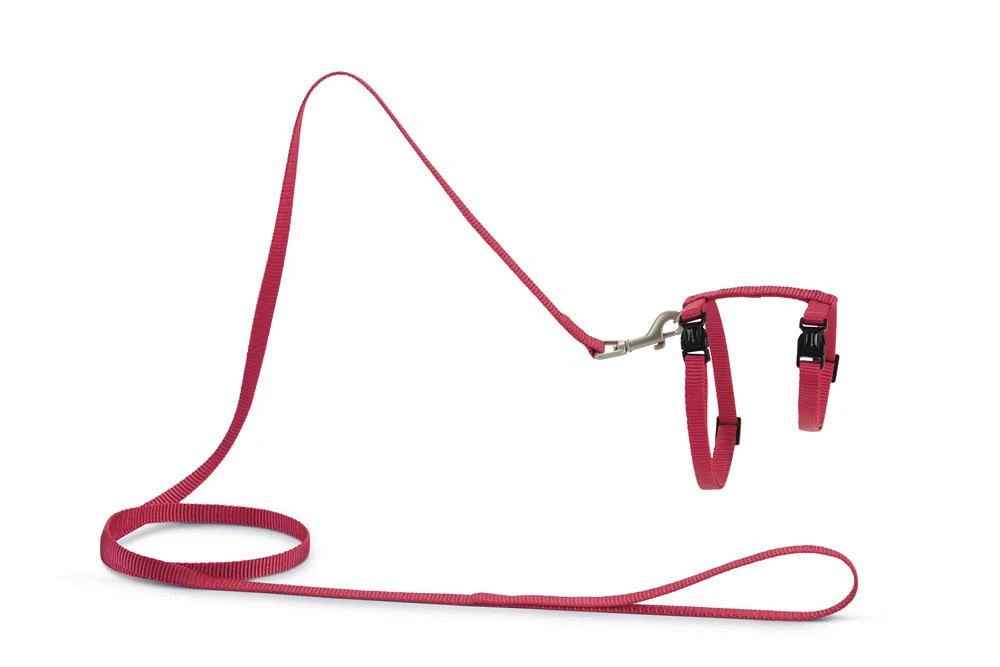 Beeztees Kattentuig Uni Met Lijn 3 Beeztees Kattentuig Uni Met Lijn - Afbeelding 3