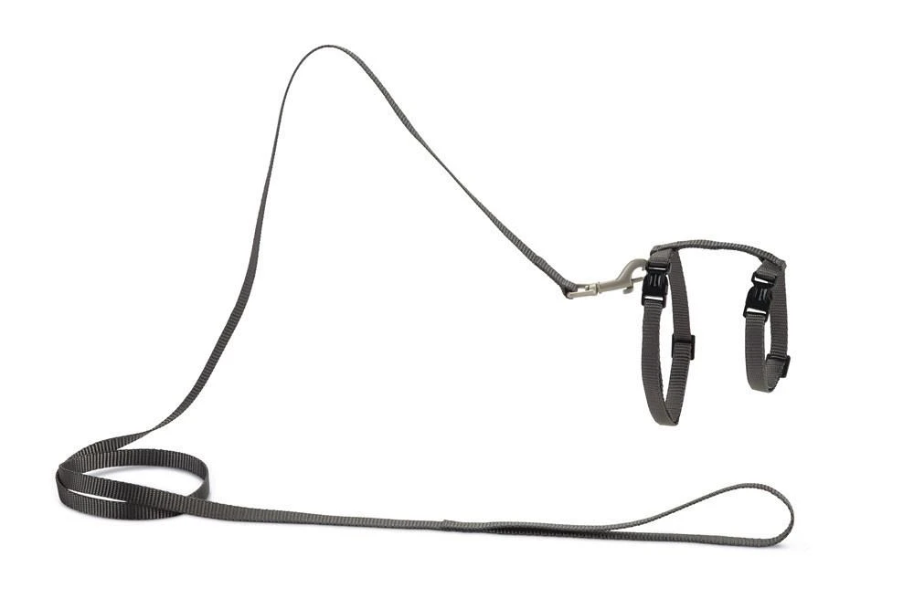 Beeztees Kattentuig Uni Met Lijn 13 Beeztees Kattentuig Uni Met Lijn - Afbeelding 13