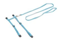 Beeztees Kattentuig Uni Met Lijn 18 Beeztees Kattentuig Uni Met Lijn -Goedkope Dierenwereld XL winkel 0730512