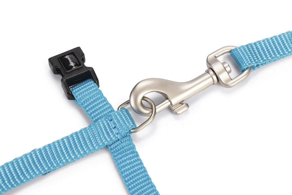 Beeztees Kattentuig Uni Met Lijn 8 Beeztees Kattentuig Uni Met Lijn - Afbeelding 8