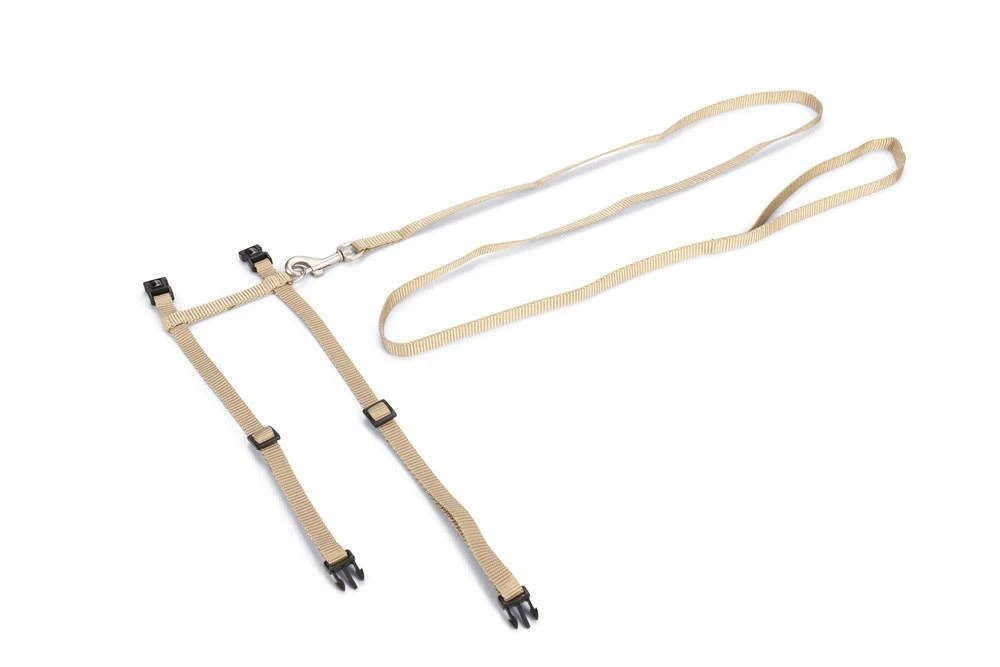 Beeztees Kattentuig Uni Met Lijn 9 Beeztees Kattentuig Uni Met Lijn - Afbeelding 9