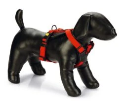 Beeztees Premium Y-Tuig Parinca Rood