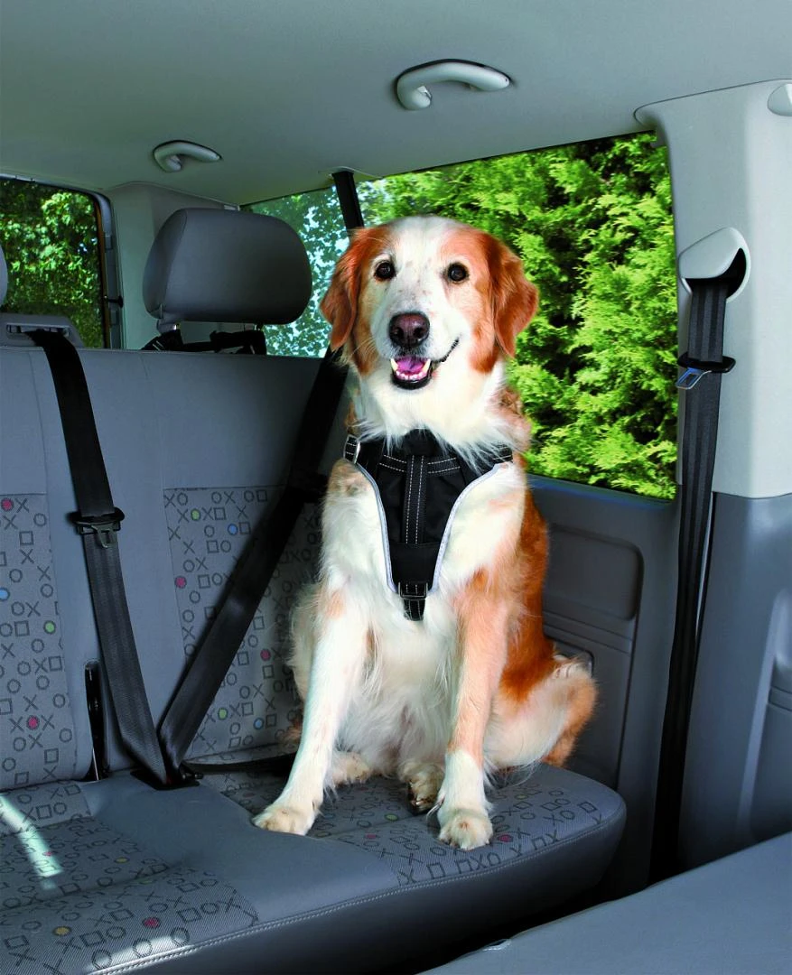 TRIXIE Autotuig Dog Comfort 2 TRIXIE Autotuig Dog Comfort - Afbeelding 2