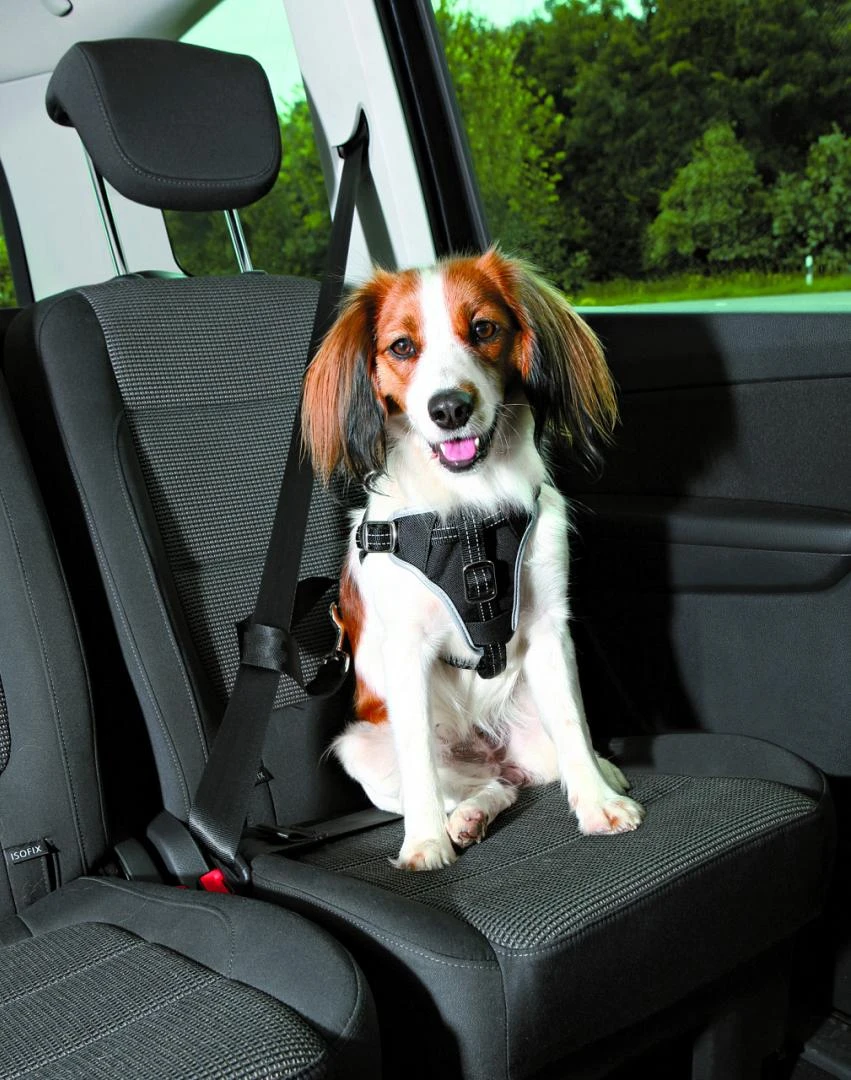 TRIXIE Autotuig Dog Comfort 1 TRIXIE Autotuig Dog Comfort