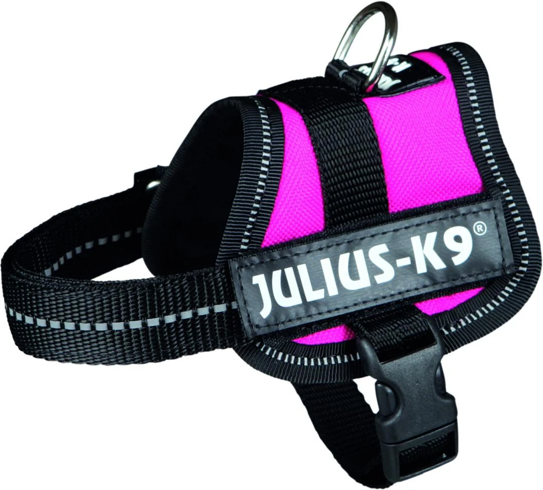 Julius K9 Powerharness Fuchsia 1 Julius K9 Powerharness Fuchsia