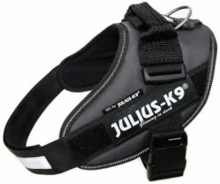 Julius K9 IDC Powerharness Antraciet -Goedkope Dierenwereld XL winkel 16IDC ANT 0