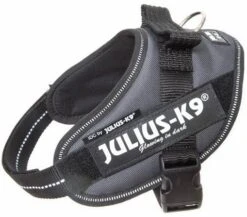 Julius K9 IDC Powerharness Antraciet -Goedkope Dierenwereld XL winkel 16IDC ANT M
