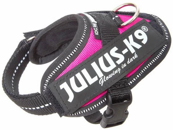 Julius K9 IDC Powerharness Dark Pink 1 Julius K9 IDC Powerharness Dark Pink