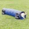 TRIXIE Dog Activity Agility Mini Tunnel