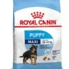 Royal Canin Hondenvoer Maxi Puppy 15 Kg