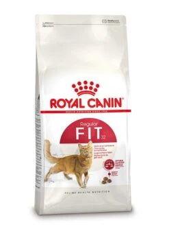 Royal Canin Kattenvoer Fit 32 10 Kg