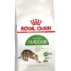 Royal Canin Kattenvoer Outdoor 4 Kg