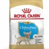 Royal Canin Hondenvoer Chihuahua Puppy 1,5 Kg