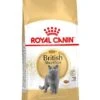 Royal Canin Kattenvoer British Shorthair Adult 4 Kg