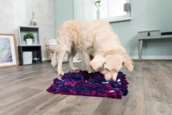 TRIXIE Dog Activity Snuffelmat 5 TRIXIE Dog Activity Snuffelmat -Goedkope Dierenwereld XL winkel 32037 21