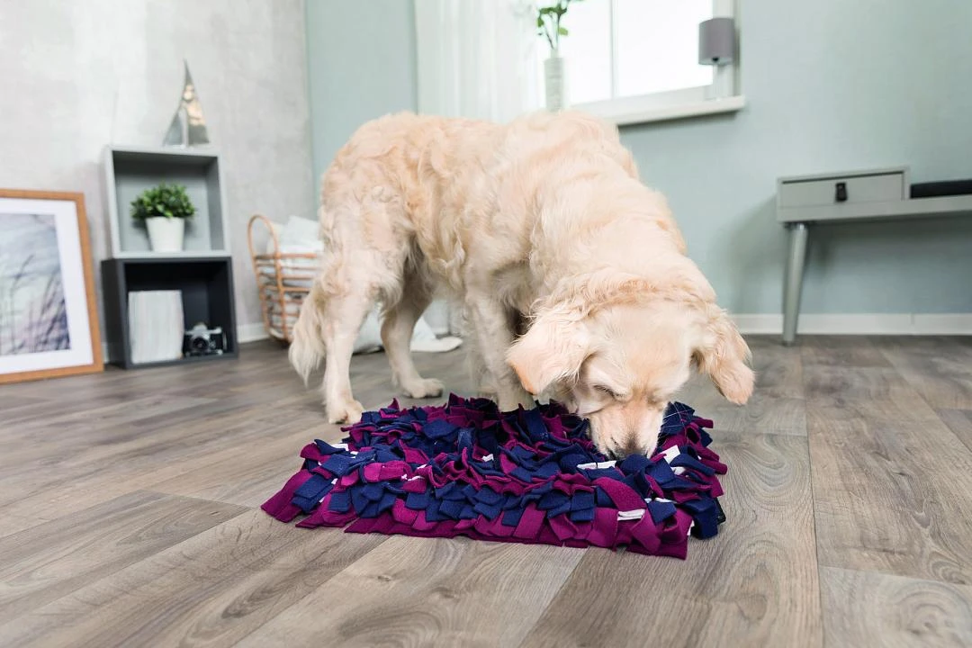 TRIXIE Dog Activity Snuffelmat 3 TRIXIE Dog Activity Snuffelmat - Afbeelding 3