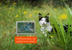 Weenect Cats 2 GPS Tracker -Goedkope Dierenwereld XL winkel 37700003001096