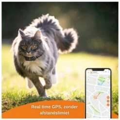Weenect XS GPS Tracker Cats Black -Goedkope Dierenwereld XL winkel 3770000300406 2