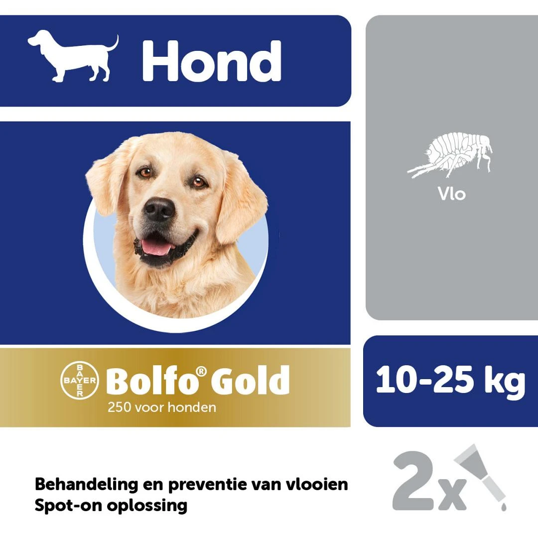 Bolfo Gold 250 Hond 2 Pipetten 2 Bolfo Gold 250 Hond 2 Pipetten - Afbeelding 2