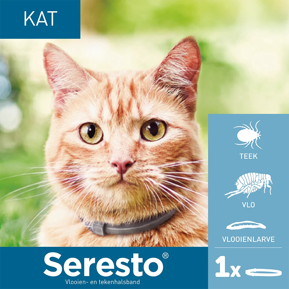 Seresto Band Voor Katten 2 Seresto Band Voor Katten - Afbeelding 2