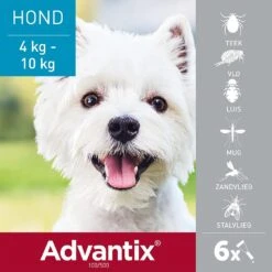 Advantix 100 6 Pipetten 5 Advantix 100 6 Pipetten -Goedkope Dierenwereld XL winkel 4.007.221.048.077