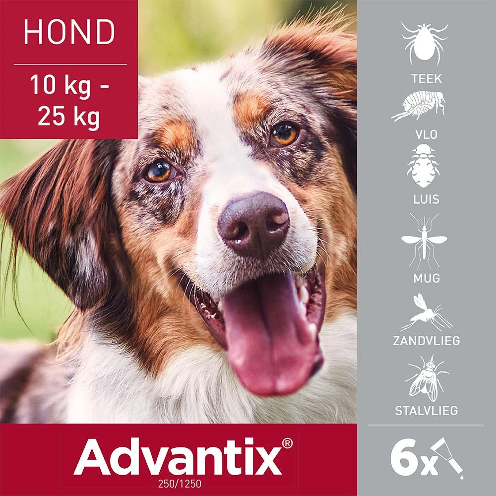 Advantix 250 6 Pipetten 2 Advantix 250 6 Pipetten - Afbeelding 2