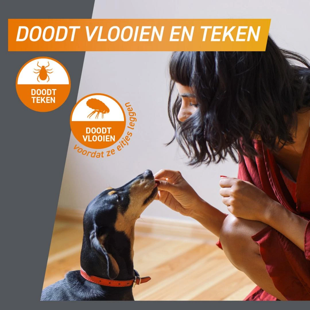 FRONTPRO Kauwtabletten Hond XL 3 St 2 FRONTPRO Kauwtabletten Hond XL 3 St - Afbeelding 2