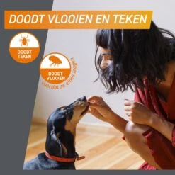 FRONTPRO Kauwtabletten Hond S 3 St 4 FRONTPRO Kauwtabletten Hond S 3 St -Goedkope Dierenwereld XL winkel 4064951004247 4