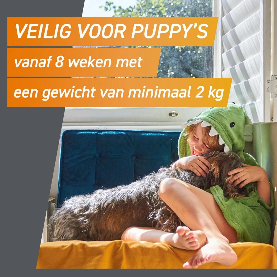 FRONTPRO Kauwtabletten Hond S 3 St 3 FRONTPRO Kauwtabletten Hond S 3 St - Afbeelding 3