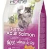 Profine Kattenvoer Derma Adult Salmon 2 Kg
