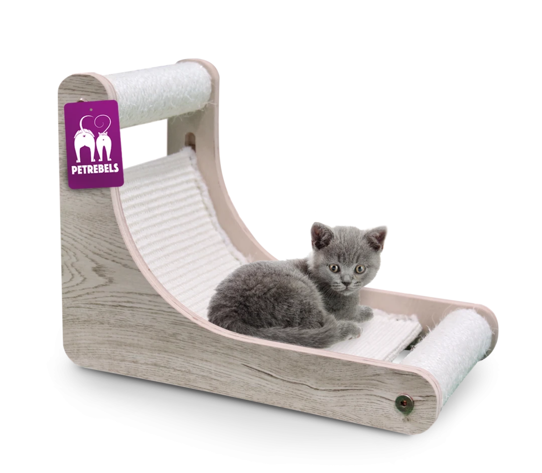 Petrebels Krabpaal Little Rebels Nashville 40 Cream 2 Petrebels Krabpaal Little Rebels Nashville 40 Cream - Afbeelding 2