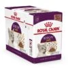 Royal Canin Kattenvoer Sensory Taste In Gravy 12 X 85 Gr