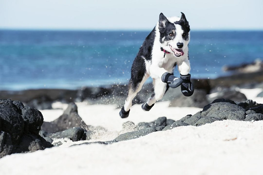 Hurtta Outback Boots Black 2 Hurtta Outback Boots Black - Afbeelding 2