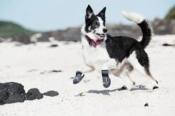 Hurtta Outback Boots Black 6 Hurtta Outback Boots Black -Goedkope Dierenwereld XL winkel 6410329321191 tm 44 b