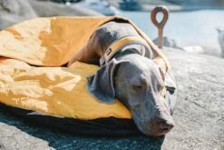 Hurtta Slaapzak Outback Dreamer Orange/silver 7 Hurtta Slaapzak Outback Dreamer Orange/silver -Goedkope Dierenwereld XL winkel 6410329327100 38 39 met hond 1