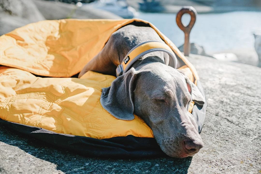 Hurtta Slaapzak Outback Dreamer Orange/silver 4 Hurtta Slaapzak Outback Dreamer Orange/silver - Afbeelding 4